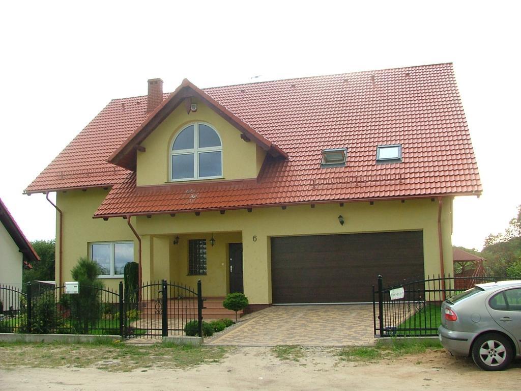 Forsycja Danzig